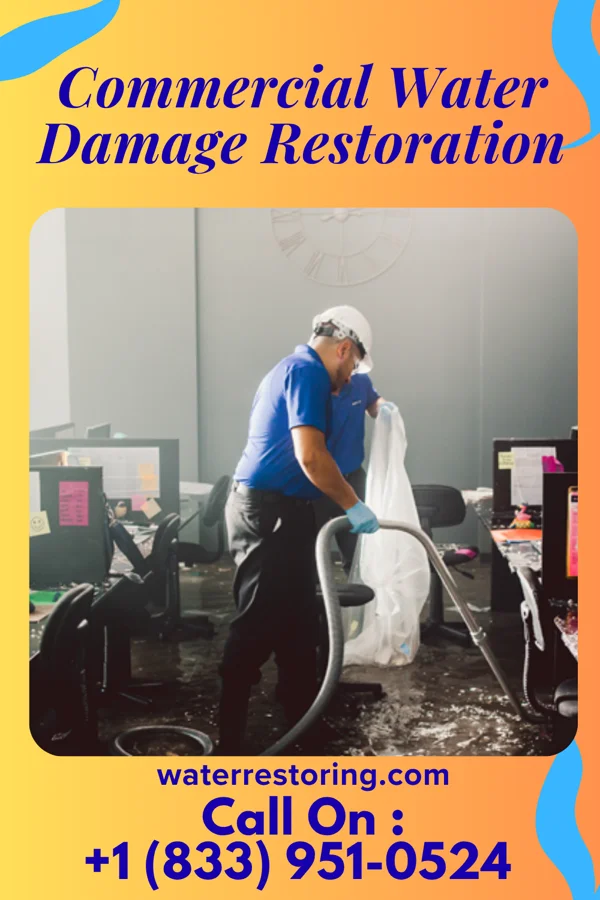 Commercial Water Damage Restoration in Harlowton, MT